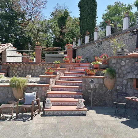 Oda ve Kahvaltı Teresa